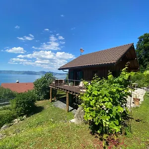 Le Petit Des Greys Chalet Meillerie